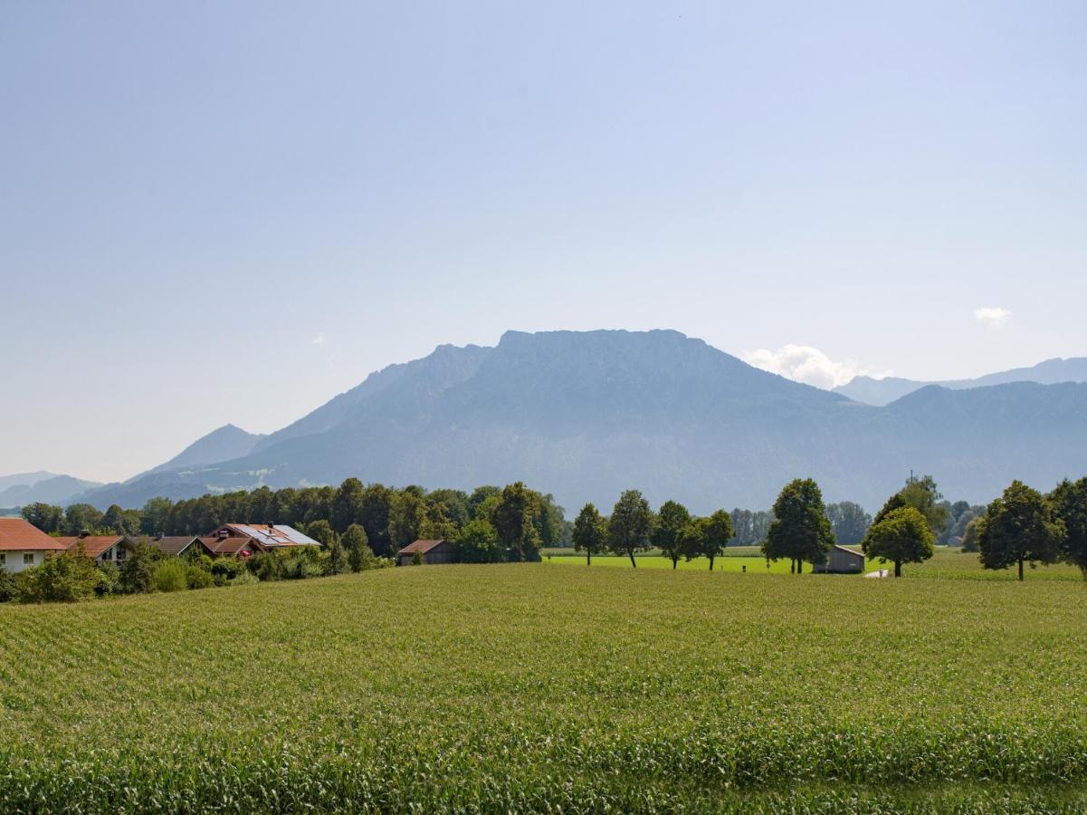 Gluehwuermchen